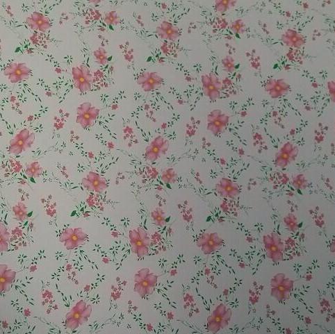 Ral 2169 Z60 90ga malte vor Stahlblech Gi-Farbumhülltes Blech 3