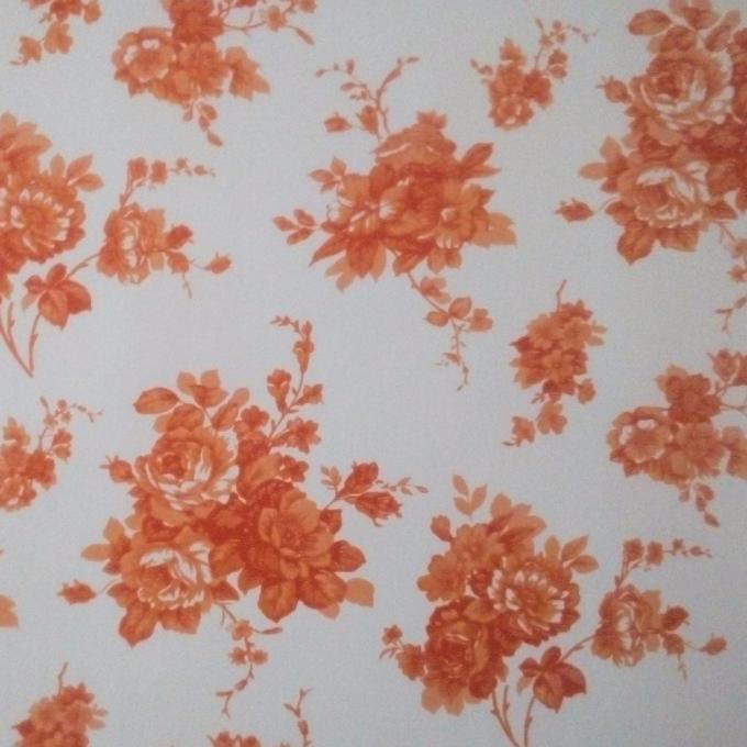 Ral 2169 Z60 90ga malte vor Stahlblech Gi-Farbumhülltes Blech 5