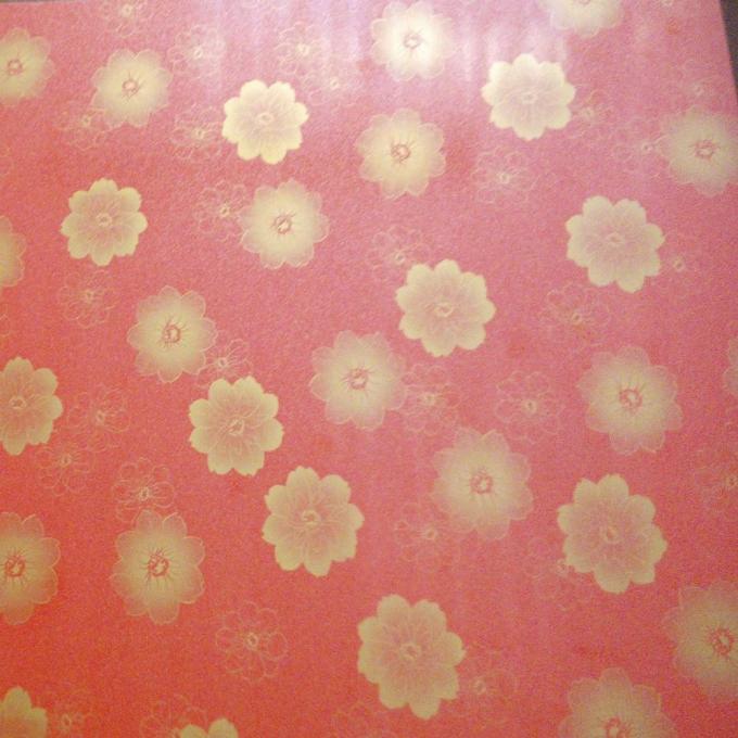 Ral 2169 Z60 90ga malte vor Stahlblech Gi-Farbumhülltes Blech 4